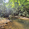 Possum Holler Camp