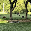 RV Farm Experience with Pond View