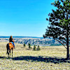 Working Ranch RV Site 1