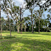 Site 4 - Koala