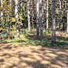 RV Site with Hookups