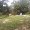 Primitive Camping near Springs