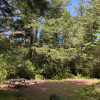 Camp Sasquatch wooded campsite
