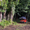 Banyan Tree - Camper Van/Popup