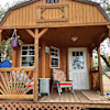Cozy cabin 