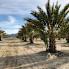 Tent Site 2