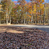 Clear Creek Cook Forest RV campsite
