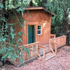 Timber Grove- Santa Cruz Redwoods