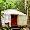 Taste forest yurt