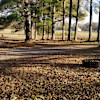 Tiny Dreamer Homestead RV Spot #3