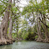 Old Herrera Ranch - Medina River
