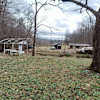 Wild & Woolly Drive-Up Tent Sites