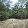 Pinewood Forest Campsite