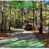 Cedar Creek Campsites: Site 8