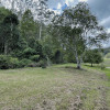Site 2 - Gum Tree Gully Camp (4WD Only)