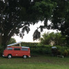 Banyan Flower - Camper Van