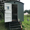 Stitchwort Shepherd's Hut