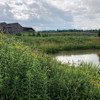 Pond View Site