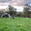 Bendameer Farm Paddock 