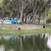 Shoreline Tent Camping