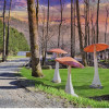 March Hare RV Site~Creekfront