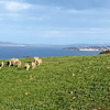 Tiatukia Farm Seaside Campsite 2