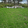 Clunes Crossing Camping Site 1