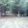 Northwoods pine forest campsite. 