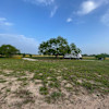 Circle Z Camp