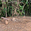 Site 2    