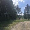 New Woodlands Farm Campsite