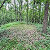 Payne's Peak site