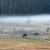 Skippy Trails Vehicle Sites