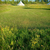 Moss Rose Campsite tent pitches