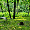 #2 Primitive Tent