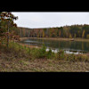 Turtle Pond Area