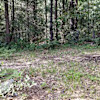 Campsite 2 - Across the Meadow