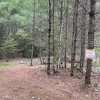 Watersrock Woods Camp Site 1