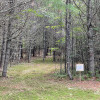 Watersrock Woods Camp Site 2