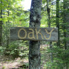 Oaky Camp