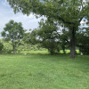 Small Creek area   Woods.  Fields