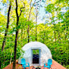 Dome Glamping Star Gazer Tent 