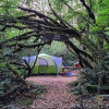 Fern Gully Premium Tent Site