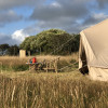 Pasture Meadow Camping Pitch