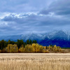 Flathead River Picnic