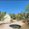 Secret Garden Mineral Springs