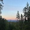 Open camping in a cedar grove