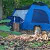 75 Acre Woods Camping