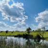 The Pond at Hedges Holler