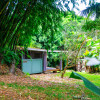 Hawaii Bamboo Grove Cabin
